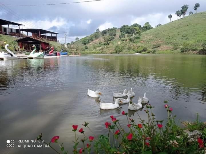 Hotel Fazenda Triunfo アレイア エクステリア 写真