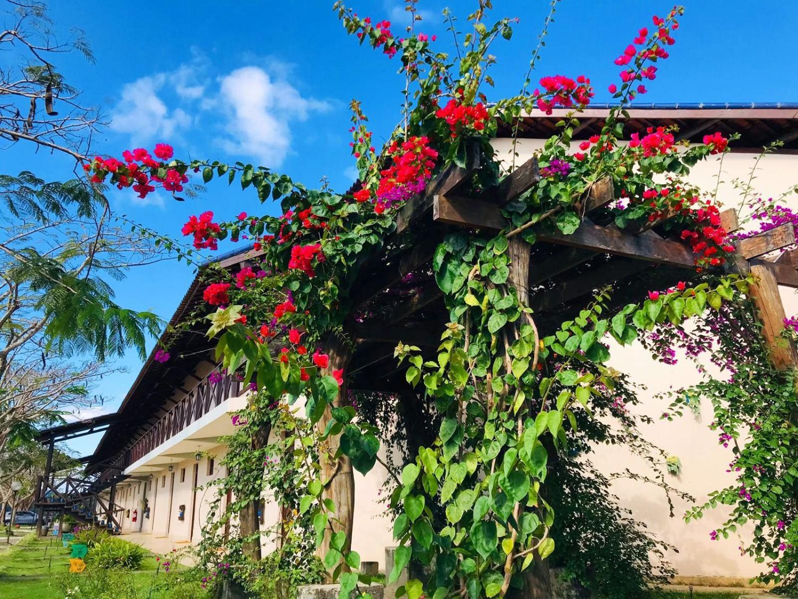 Hotel Fazenda Triunfo アレイア エクステリア 写真