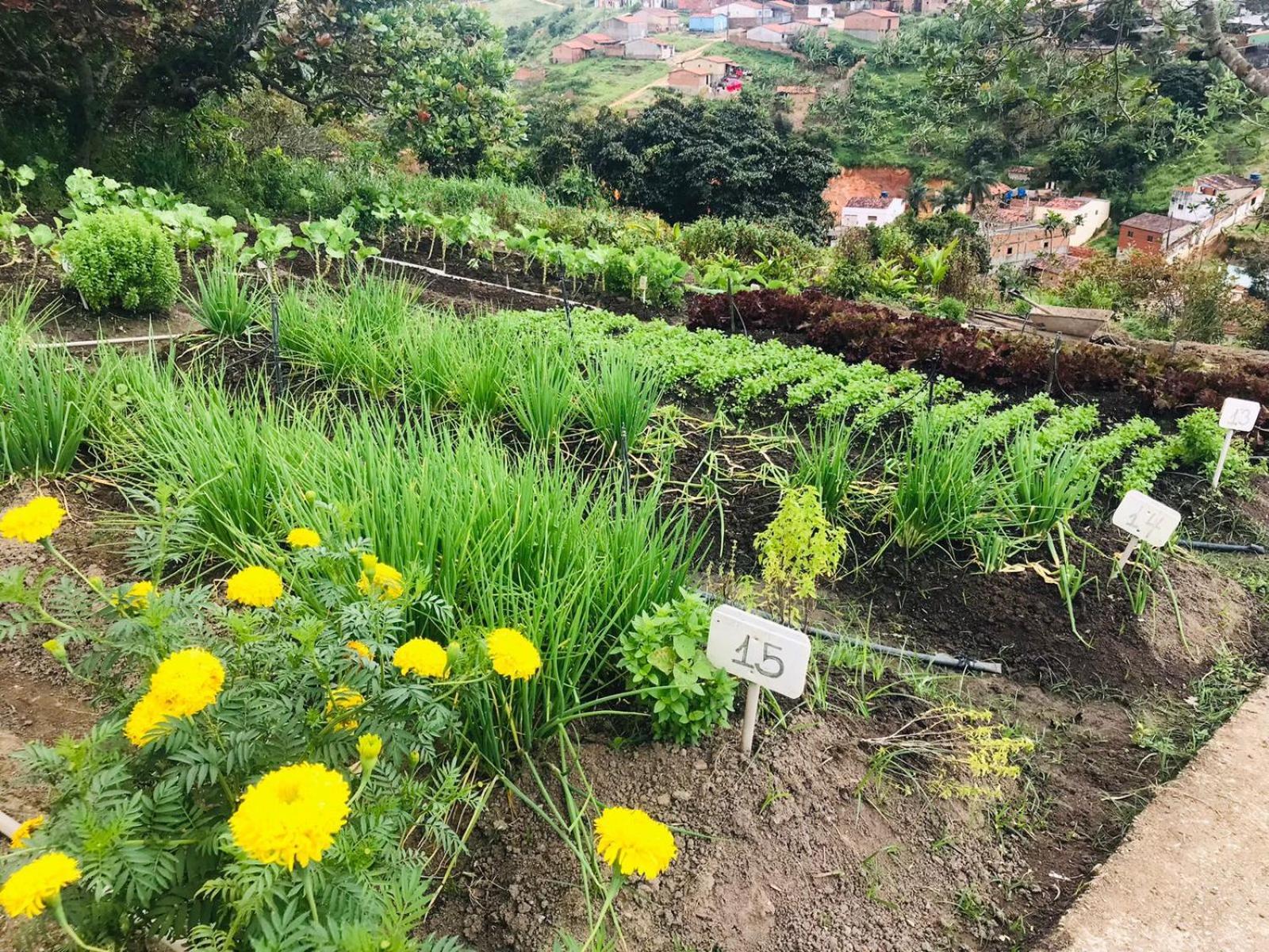 Hotel Fazenda Triunfo アレイア エクステリア 写真