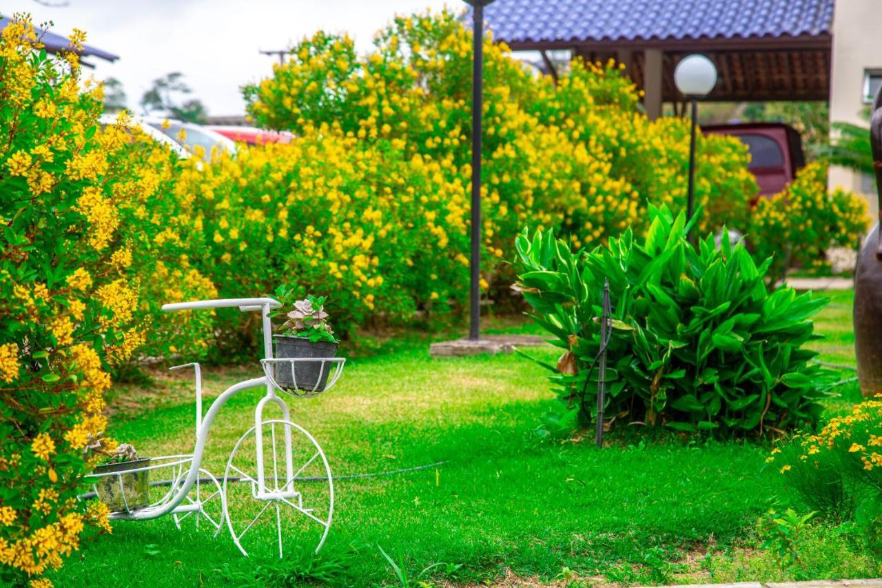 Hotel Fazenda Triunfo アレイア エクステリア 写真